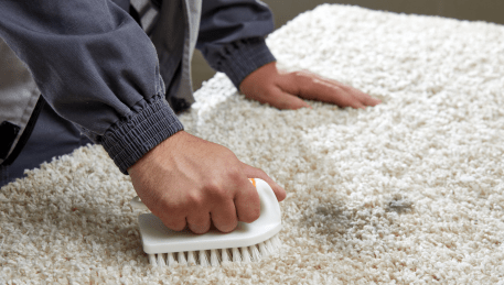 Professional Rug Cleaning Roxburgh Park